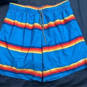 Speedo Men's Vibrant Blue Swim Trunks with Bold Stripes